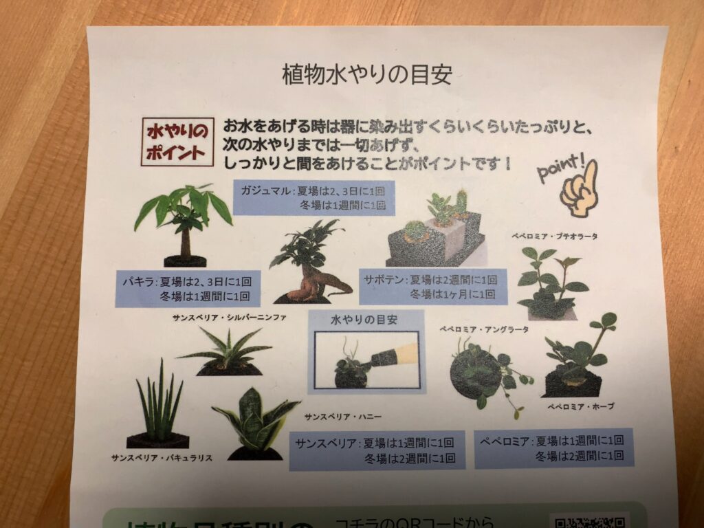 観葉植物、インテリア、エコポチ